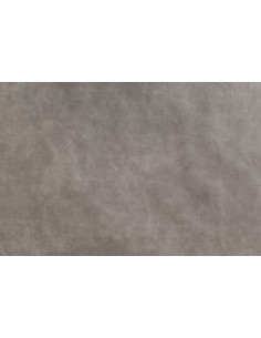 BIZON 2106 upholstery fabric