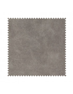 SAMPLE BIZON 2106 upholstery fabric