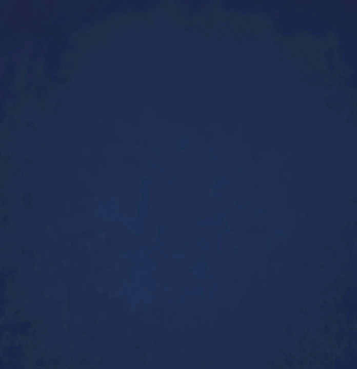 smart-velvet-21608