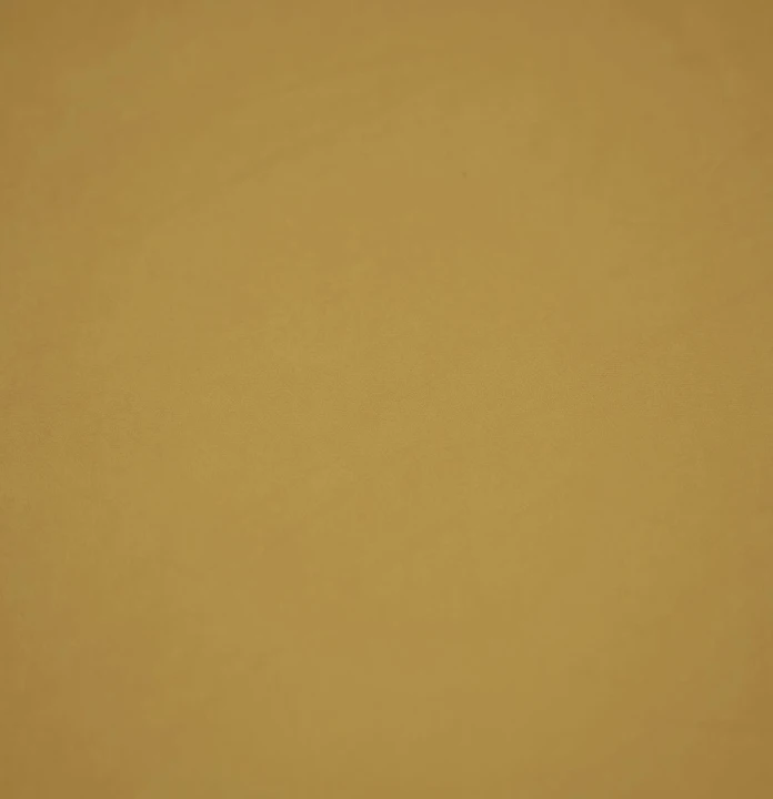 smart-velvet-21644